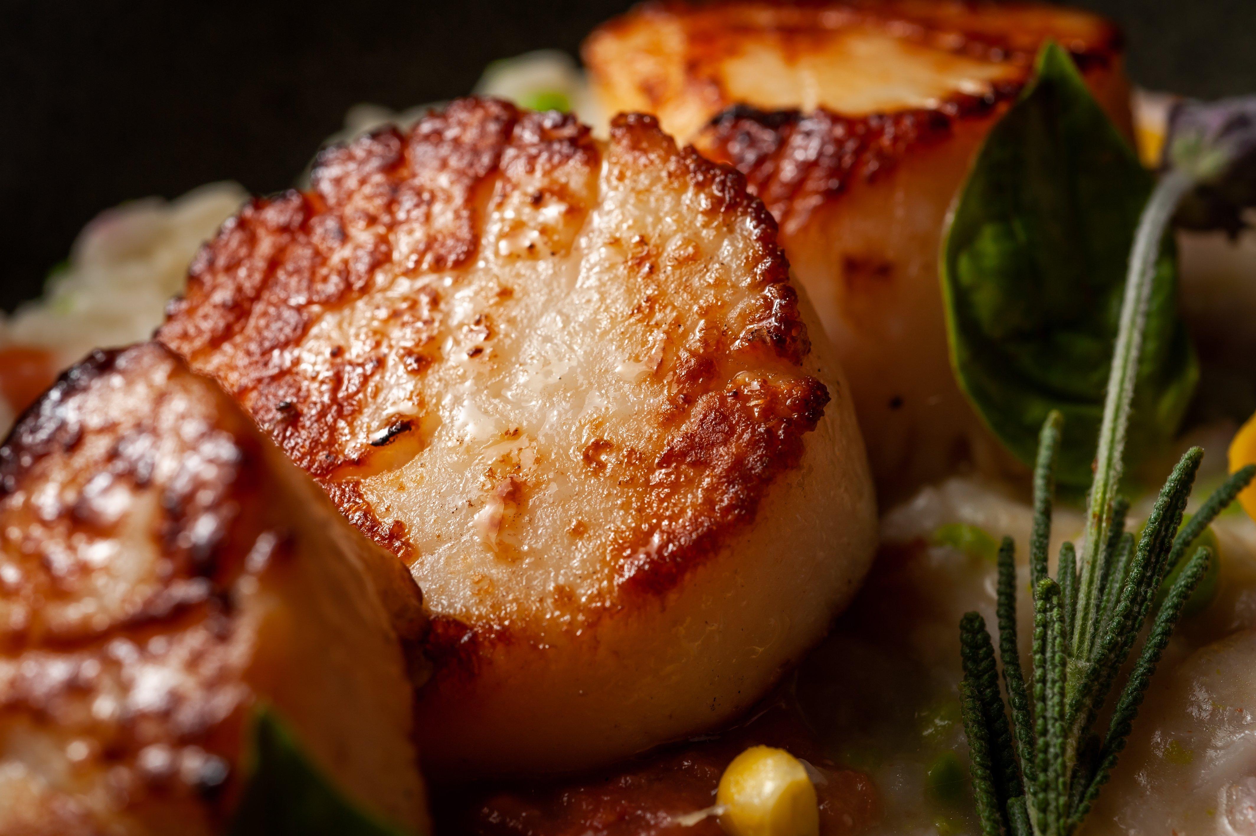 Kimpton Epic Hotel By Ihg Miami Ngoại thất bức ảnh Pan-seared scallops